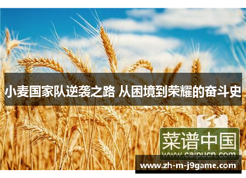 小麦国家队逆袭之路 从困境到荣耀的奋斗史