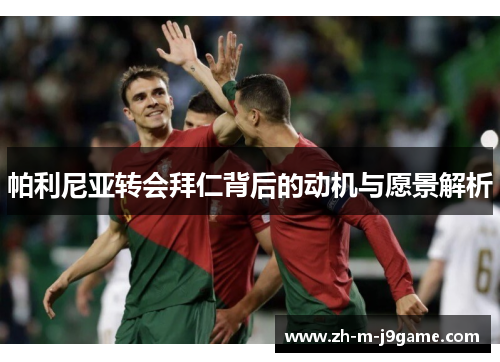 帕利尼亚转会拜仁背后的动机与愿景解析